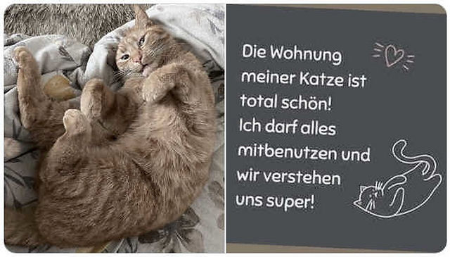 so sind sie eben