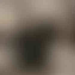 "Friesian Horse love"