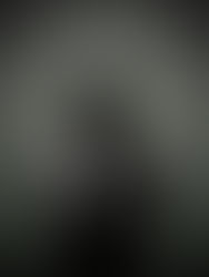 Das zweite Geschmeiß »Minna«