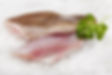 Grouper Fillet.....Per Pound