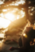 Luminous Mind + Body :: A Restorative Retreat for Women