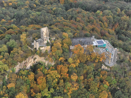 Drachenfels