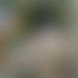 Drachenburg Königswinter