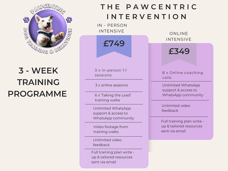 Pawcentric intervention table .png