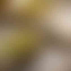 Oyster apple vinegret dressing