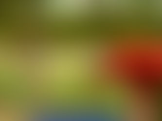 Um dia nada qualquer