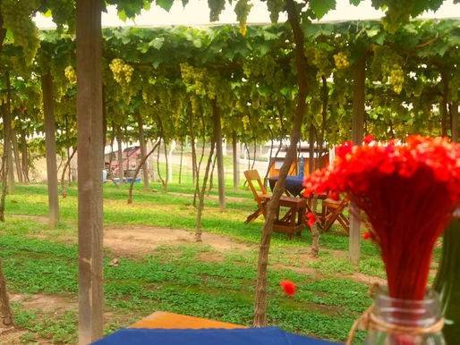 Um dia nada qualquer