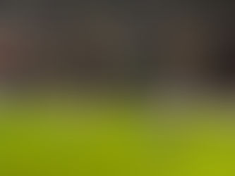 A tough end to a brilliant week: stoppage time equaliser costs Derby