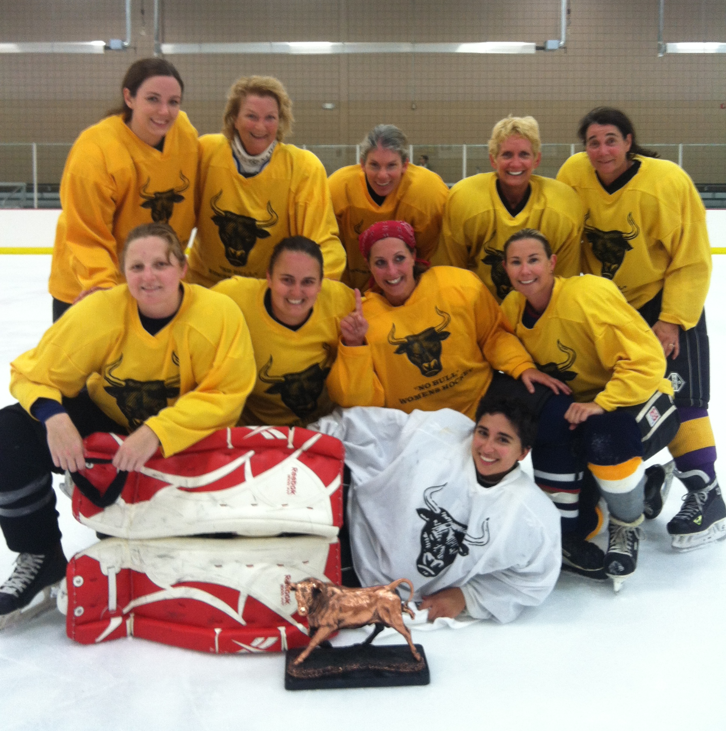 WHAM Women's Hockey Across Michigan