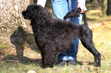 Matilda - results of the genetic tests