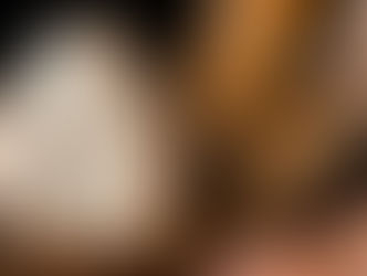 A origem do pão: conheça a história e evolução de um dos alimentos mais antigos do mundo