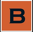 the_buzz_company_logo.jpeg