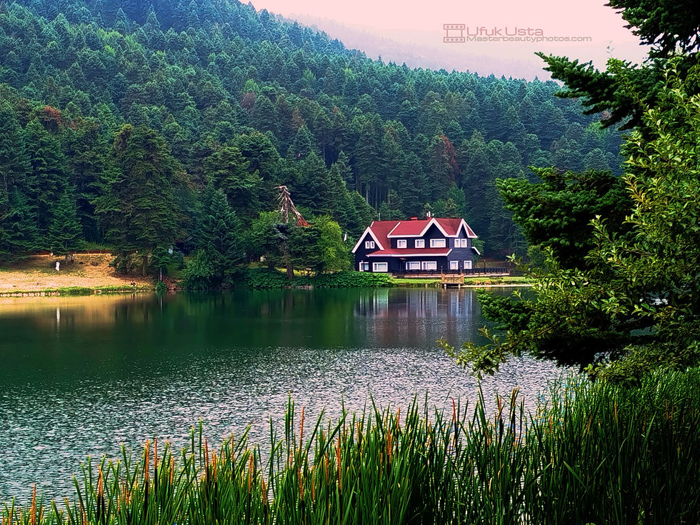 IMG_20250711_134342a