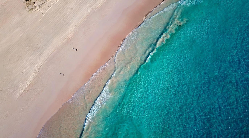 Aerial view of beach and sea waves