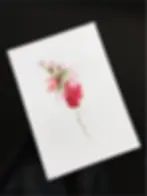 Delicate watercolor painting of a floral bouquet in shades of pink, red, and green, centered on a white sheet held over a black background.