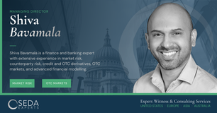 SEDA Experts Expands Its Risk Management and Securities & Derivatives Practices with the Addition of Shiva Bavamala