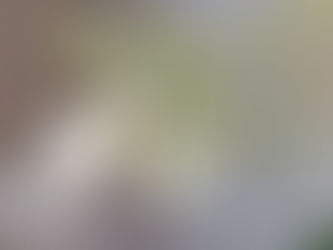 O ódio como evasiva