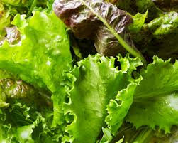 Lettuce, Leaf (bag)