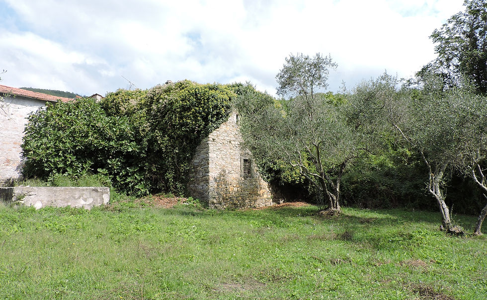 AZ Italian Properties Village for Sale Tuscany Italy (29).JPG