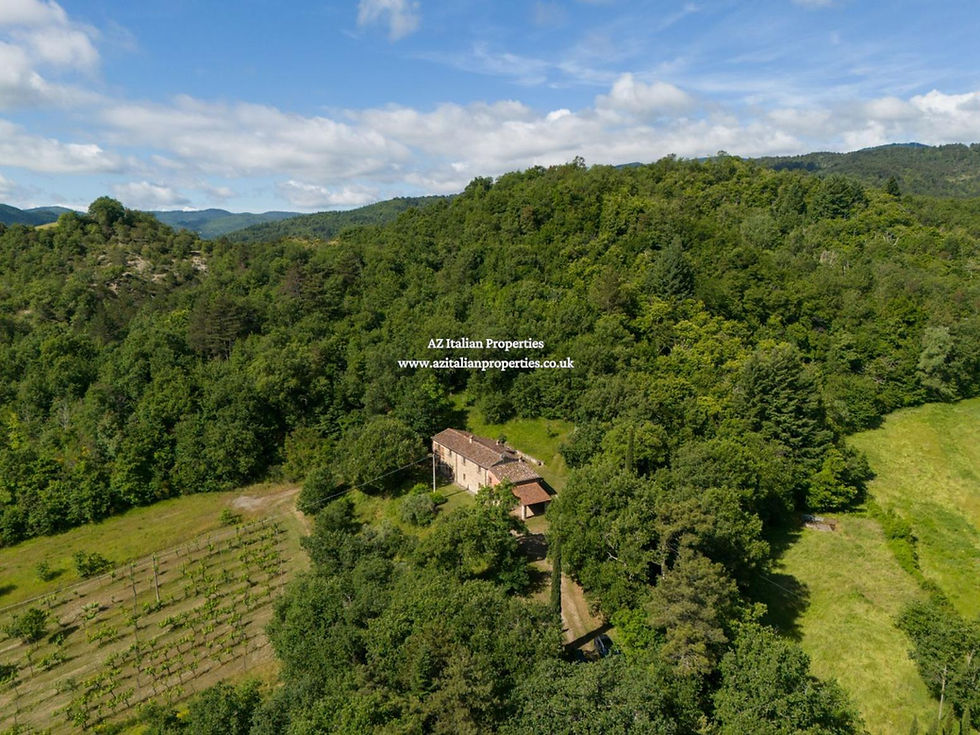 Farmhouse for Sale Cosentino Tuscany (2).jpg