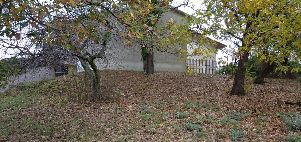 House for Sale Semproniano Tuscany (5).jpg