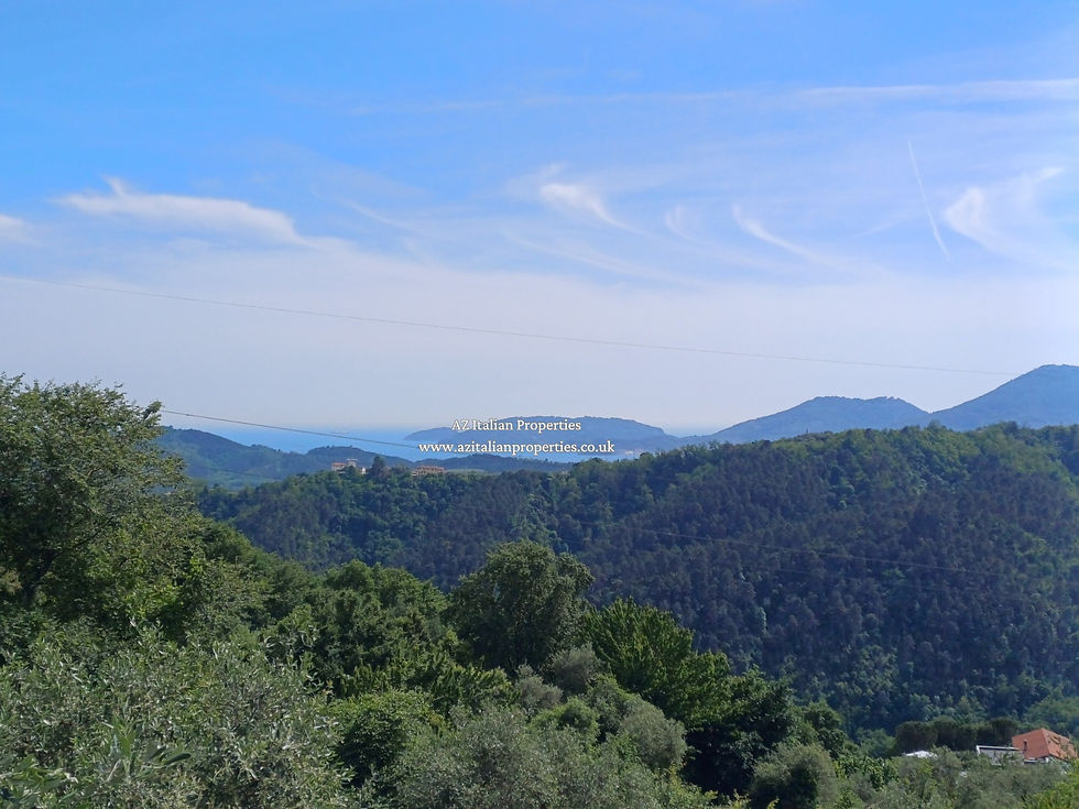 House for Sale La Spezia Liguria (3).jpg