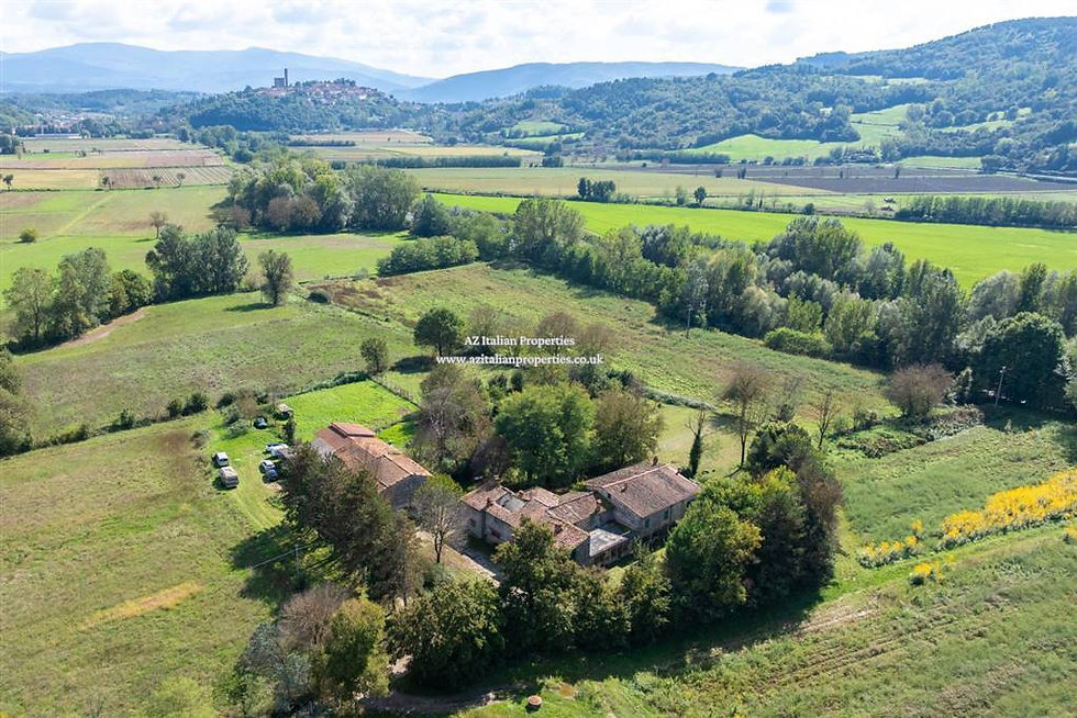 Tuscan Estate for Sale Poppi (3).jpg