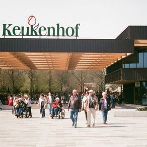 Feiras de flores e tulipas: muito além do Keukenhof