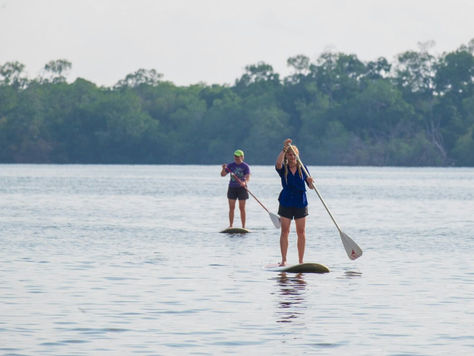 Llena tus días de energía realizando actividades al aire libre. En la laguna de Manialtepec encontra