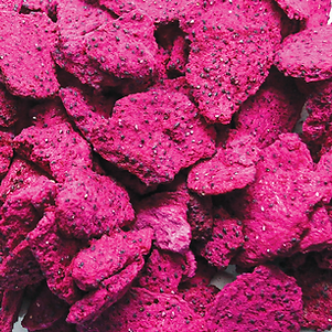 STRIPE_FD Dragon Fruit Slices-Red.png