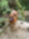 IMG_7988.jpeg