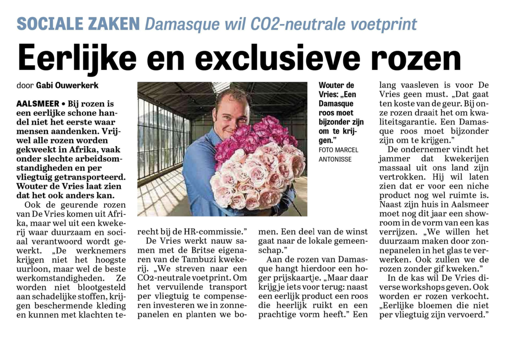 Damasque interview Telegraaf