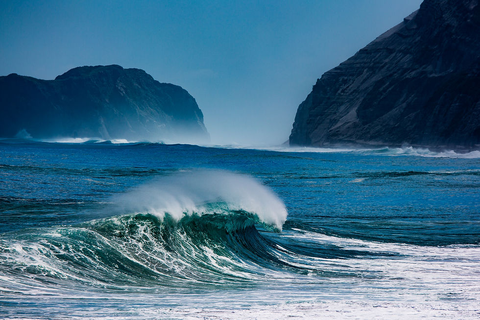 Niijima-4888