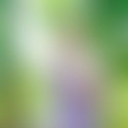 たくさんの汗が不調の原因？