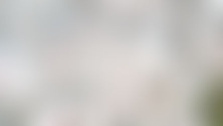 私の寝付きが良くなった方法