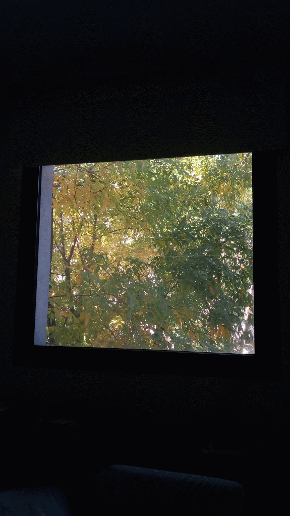 De verano a invierno.gif