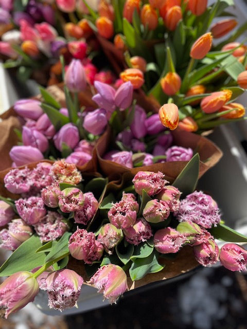 Thumbnail: Spring Tulip Flower Share