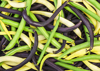 Thumbnail: Summer Vegetable Share