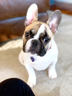 Georgie - Taryn