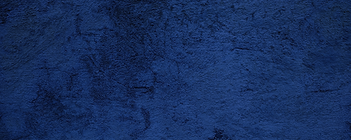 MAA - Zoom Background (50 x 20 cm).png