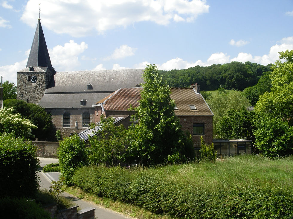 IMGP0514