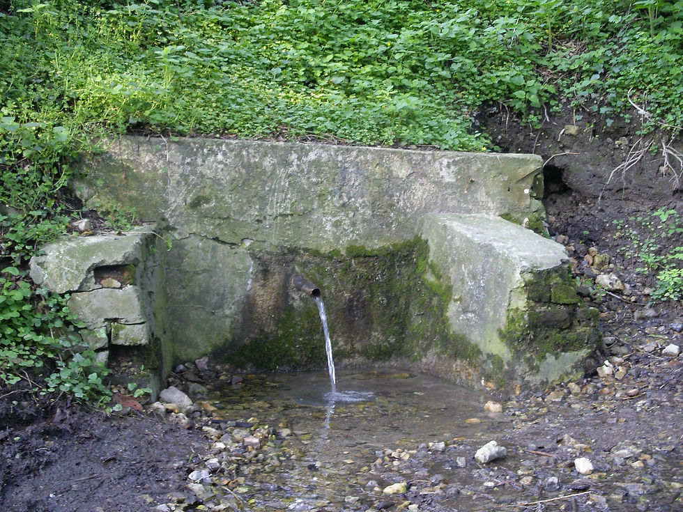 IMGP0319