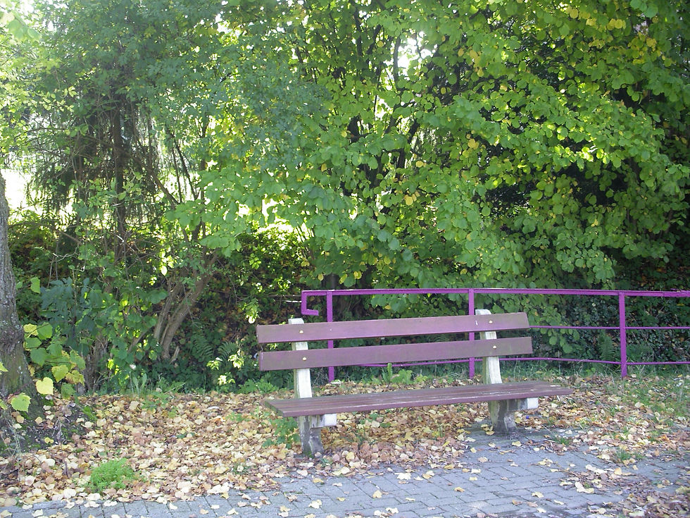 IMGP8307