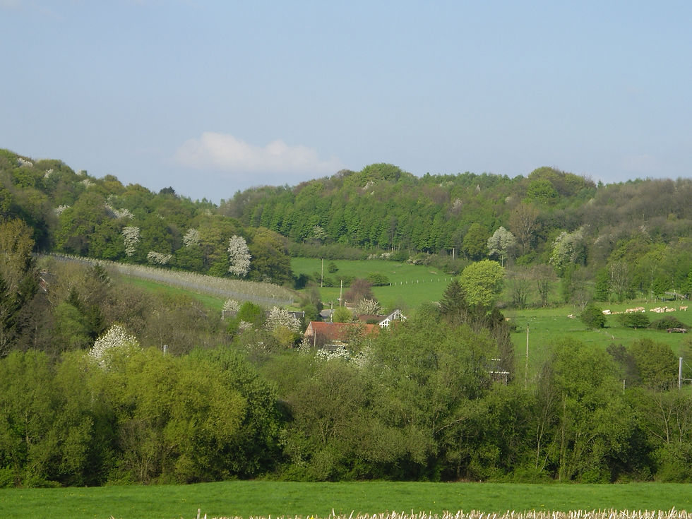 IMGP0194