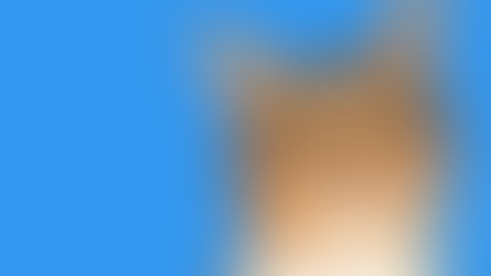 All about User Research: Observation