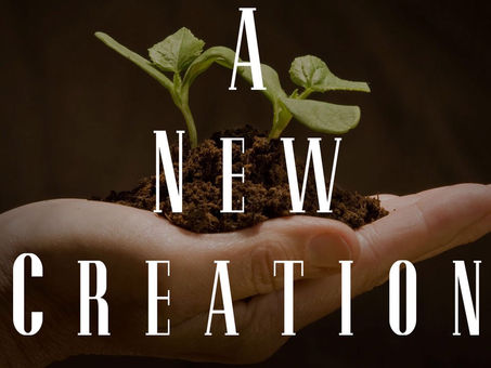 A New Creation