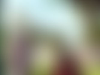 Obedience is better than Sacrifice