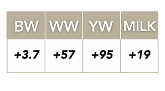 Lot 12.png