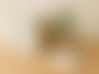 Decluttering Tools for Minimalist Beginners