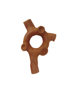 LA RECONSTITUTION ( avant cuisson )